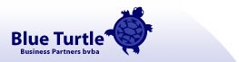 Logo Blue Turtle